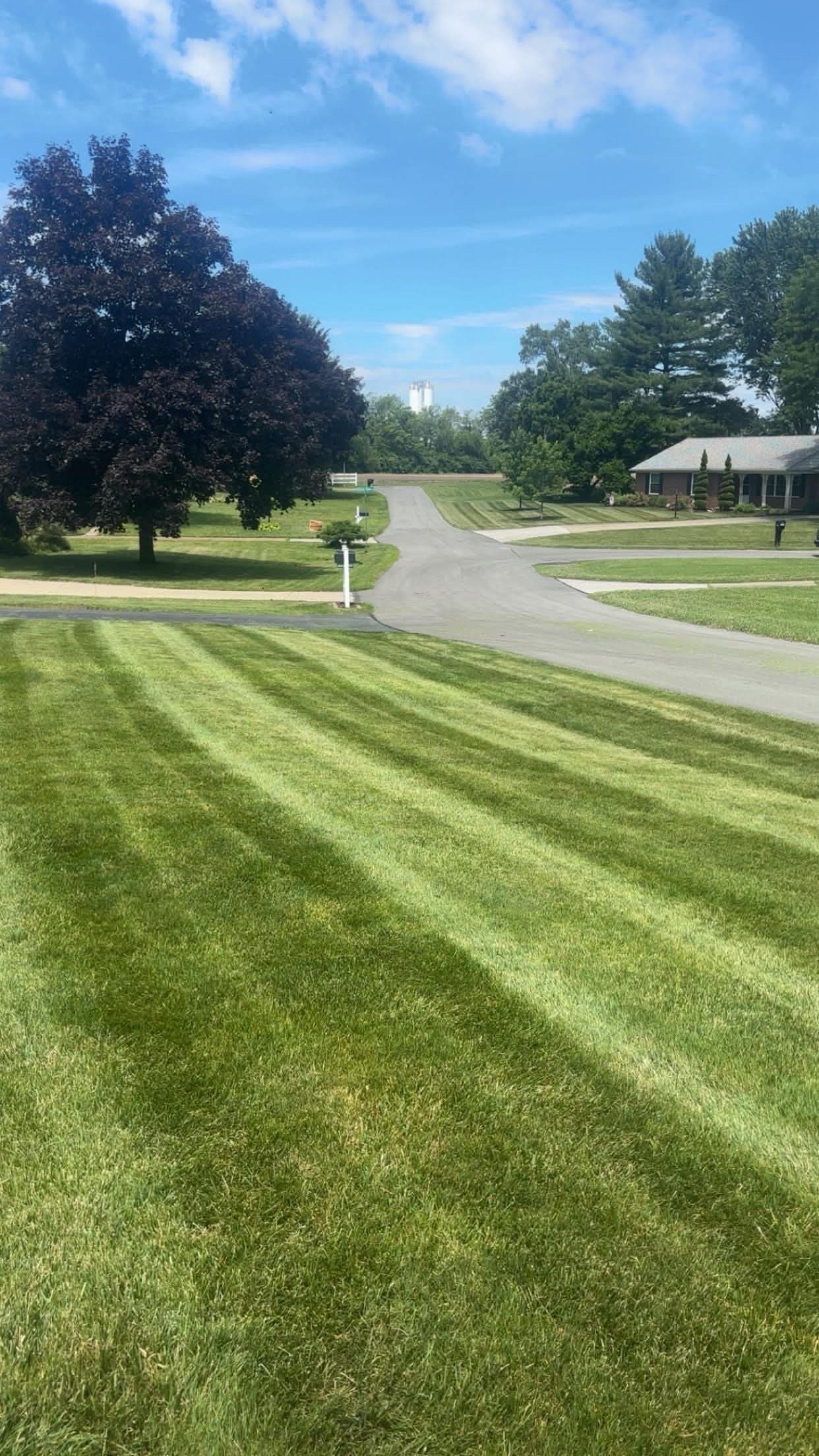 Lawncare Lines 1